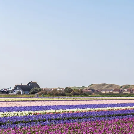 Tiny Beach House - Super Knus Tiny House Omringd Met Natuur! * Petten