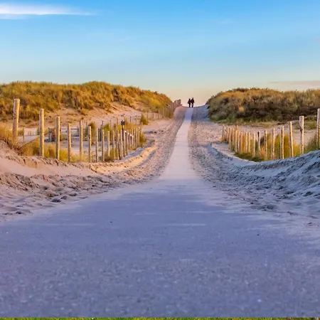 Tiny Beach House - Super Knus Tiny House Omringd Met Natuur! Tatil Evi *