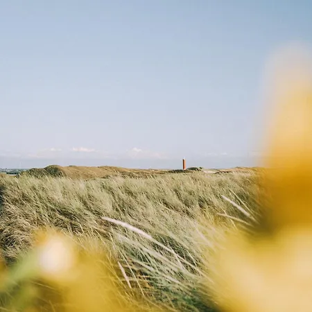 Tiny Beach House - Super Knus Tiny House Omringd Met Natuur! *